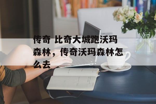 传奇 比奇大城跑沃玛森林,传奇沃玛森林怎么去 传奇 比奇大城跑沃玛森林,传奇沃玛森林怎么去