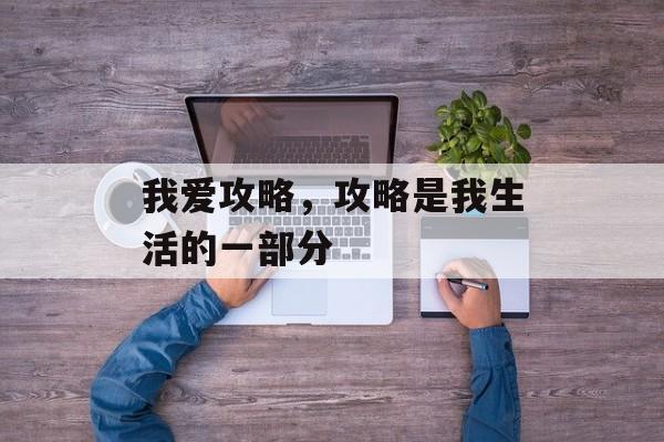 我爱攻略，攻略是我生活的一部分
