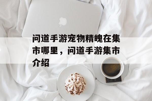问道手游宠物精魄在集市哪里,问道手游集市介绍 问道手游宠物精魄在集市哪里,问道手游集市介绍
