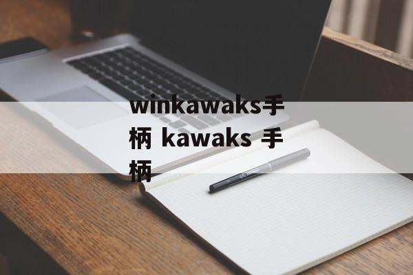 winkawaks手柄 kawaks 手柄