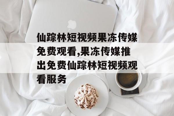 仙踪林短视频果冻传媒免费观看,果冻传媒推出免费仙踪林短视频观看服务