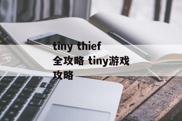 tiny thief全攻略 tiny游戏攻略