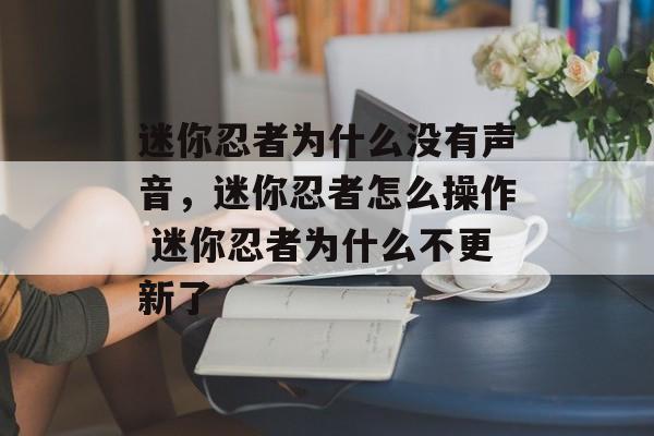 迷你忍者为什么没有声音，迷你忍者怎么操作 迷你忍者为什么不更新了