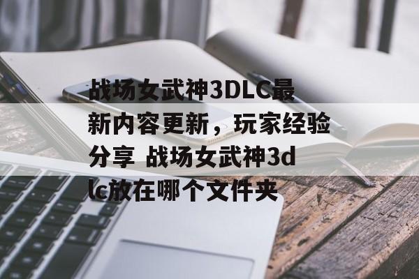 战场女武神3DLC最新内容更新，玩家经验分享 战场女武神3dlc放在哪个文件夹