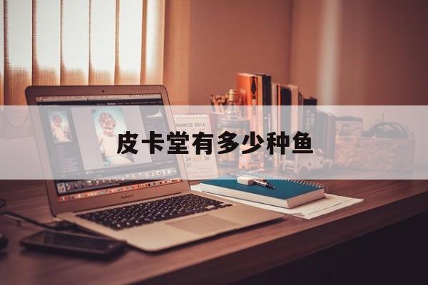 皮卡堂有多少种鱼
