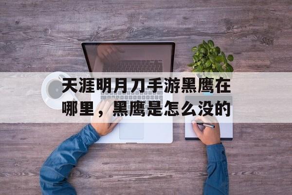天涯明月刀手游黑鹰在哪里,黑鹰是怎么没的 天涯明月刀手游黑鹰在哪里,黑鹰是怎么没的