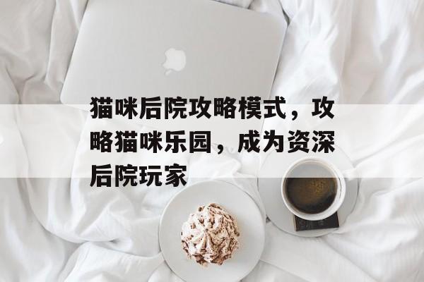 猫咪后院攻略模式，攻略猫咪乐园，成为资深后院玩家