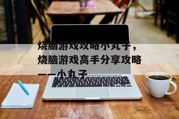 烧脑游戏攻略小丸子，烧脑游戏高手分享攻略——小丸子