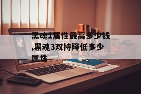 黑魂1属性最高多少钱,黑魂3双持降低多少属性