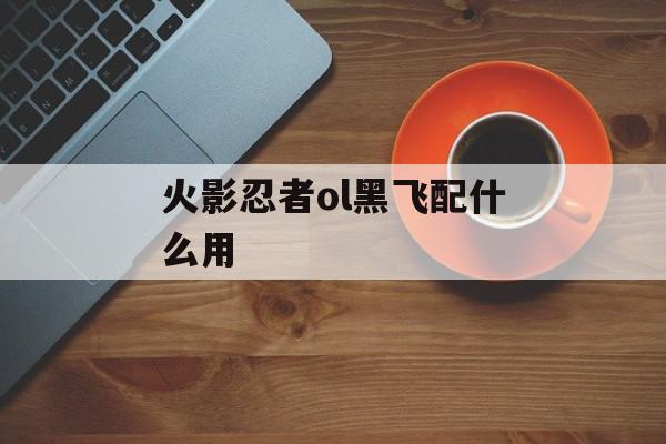 火影忍者ol黑飞配什么用