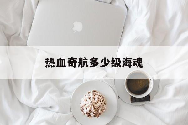 热血奇航多少级海魂