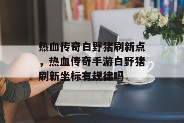 热血传奇白野猪刷新点,热血传奇手游白野猪刷新坐标有规律吗 热血传奇白野猪刷新点,热血传奇手游白野猪刷新坐标有规律吗