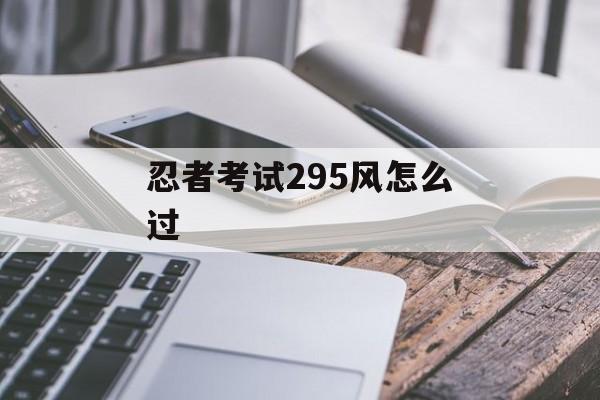 忍者考试295风怎么过