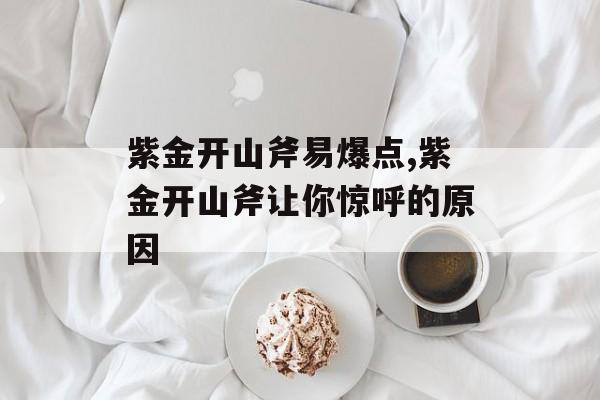 紫金开山斧易爆点,紫金开山斧让你惊呼的原因