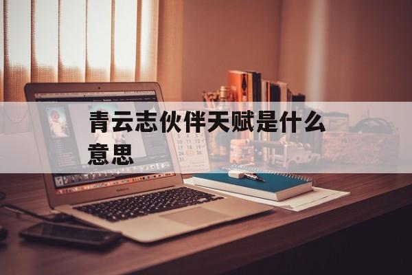 青云志伙伴天赋是什么意思
