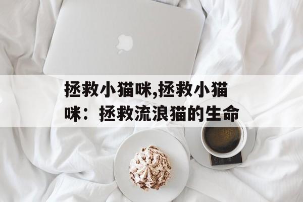 拯救小猫咪,拯救小猫咪：拯救流浪猫的生命