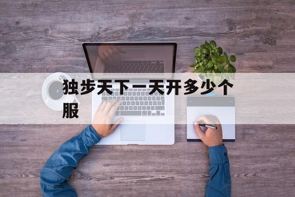 独步天下一天开多少个服