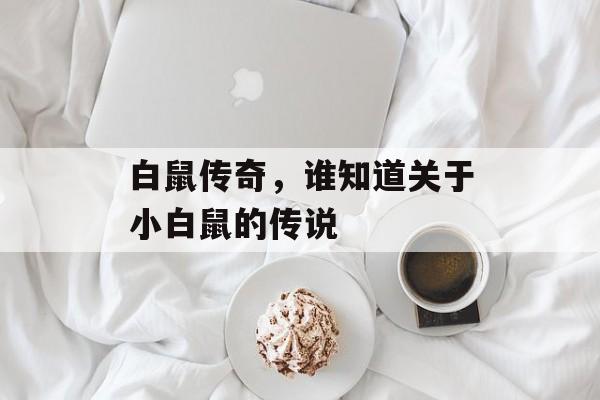白鼠传奇,谁知道关于小白鼠的传说 白鼠传奇,谁知道关于小白鼠的传说