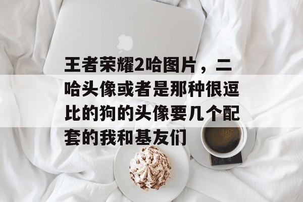 王者荣耀2哈图片,二哈头像或者是那种很逗比的狗的头像要几个配套的我和基友们 王者荣耀2哈图片,二哈头像或者是那种很逗比的狗的头像要几个配套的我和基友们