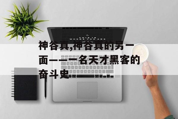 神谷真,神谷真的另一面——一名天才黑客的奋斗史