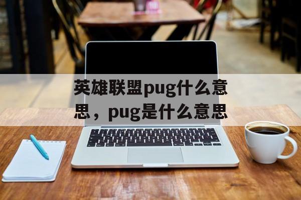 英雄联盟pug什么意思，pug是什么意思
