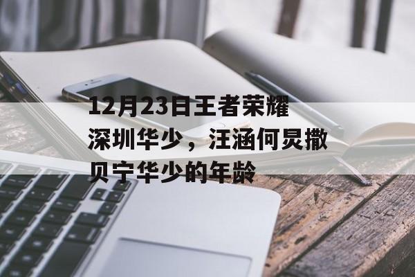 12月23日王者荣耀深圳华少，汪涵何炅撒贝宁华少的年龄