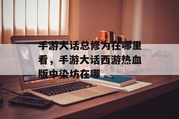 手游大话总修为在哪里看,手游大话西游热血版中染坊在哪 手游大话总修为在哪里看,手游大话西游热血版中染坊在哪