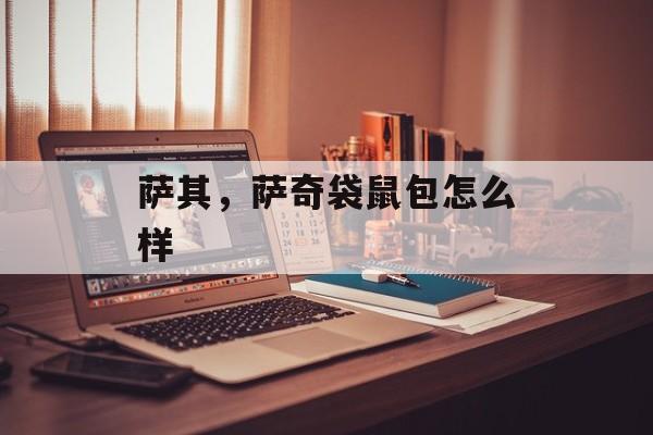 萨其,萨奇袋鼠包怎么样 萨其,萨奇袋鼠包怎么样