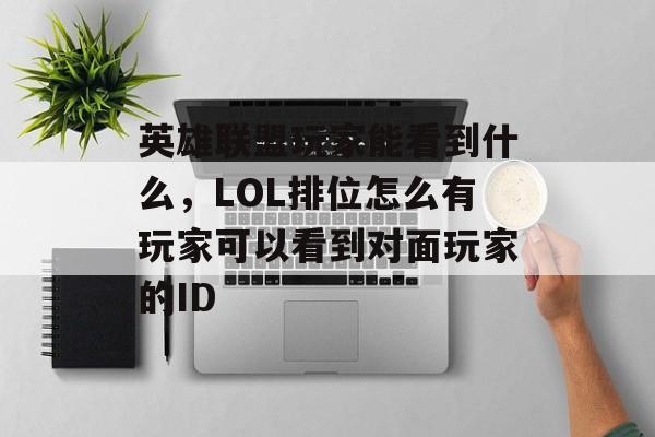 英雄联盟玩家能看到什么,LOL排位怎么有玩家可以看到对面玩家的ID 英雄联盟玩家能看到什么,LOL排位怎么有玩家可以看到对面玩家的ID