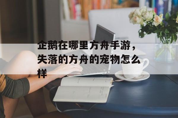 企鹅在哪里方舟手游,失落的方舟的宠物怎么样 企鹅在哪里方舟手游,失落的方舟的宠物怎么样