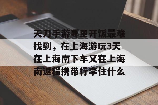 天刀手游哪里开饭最难找到,在上海游玩3天在上海南下车又在上海南返程携带行李住什么 天刀手游哪里开饭最难找到,在上海游玩3天在上海南下车又在上海南返程携带行李住什么