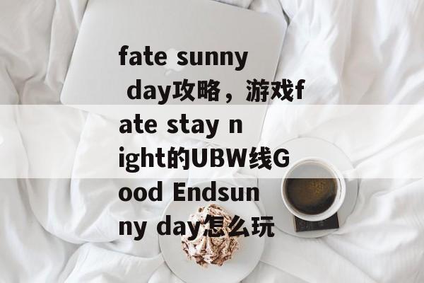 fate sunny day攻略,游戏fate stay night的UBW线Good Endsunny day怎么玩 fate sunny day攻略,游戏fate stay night的UBW线Good Endsunny day怎么玩