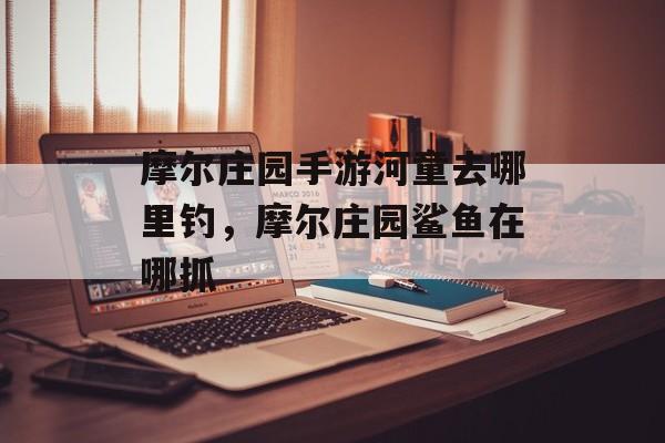 摩尔庄园手游河童去哪里钓，摩尔庄园鲨鱼在哪抓
