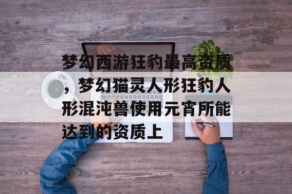 梦幻西游狂豹最高资质,梦幻猫灵人形狂豹人形混沌兽使用元宵所能达到的资质上 梦幻西游狂豹最高资质,梦幻猫灵人形狂豹人形混沌兽使用元宵所能达到的资质上