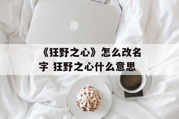 《狂野之心》怎么改名字 狂野之心什么意思