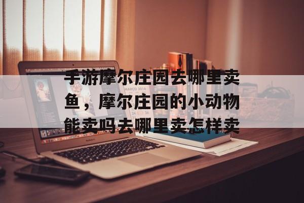 手游摩尔庄园去哪里卖鱼,摩尔庄园的小动物能卖吗去哪里卖怎样卖 手游摩尔庄园去哪里卖鱼,摩尔庄园的小动物能卖吗去哪里卖怎样卖