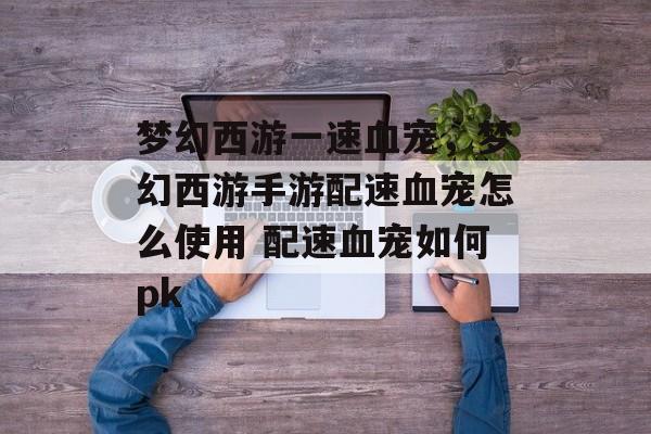 梦幻西游一速血宠,梦幻西游手游配速血宠怎么使用 配速血宠如何pk 梦幻西游一速血宠,梦幻西游手游配速血宠怎么使用 配速血宠如何pk