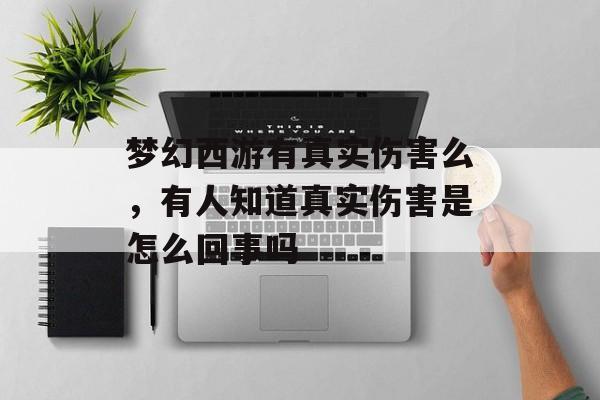 梦幻西游有真实伤害么,有人知道真实伤害是怎么回事吗 梦幻西游有真实伤害么,有人知道真实伤害是怎么回事吗