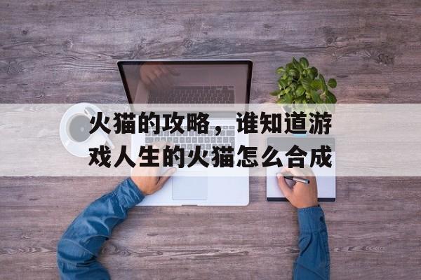 火猫的攻略,谁知道游戏人生的火猫怎么合成 火猫的攻略,谁知道游戏人生的火猫怎么合成