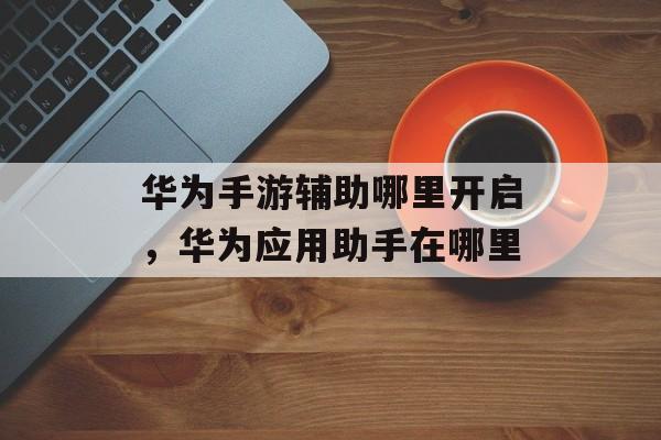 华为手游辅助哪里开启,华为应用助手在哪里 华为手游辅助哪里开启,华为应用助手在哪里
