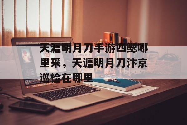 天涯明月刀手游四鳃哪里采,天涯明月刀汴京巡检在哪里 天涯明月刀手游四鳃哪里采,天涯明月刀汴京巡检在哪里