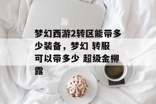 梦幻西游2转区能带多少装备,梦幻 转服 可以带多少 超级金柳露 梦幻西游2转区能带多少装备,梦幻 转服 可以带多少 超级金柳露