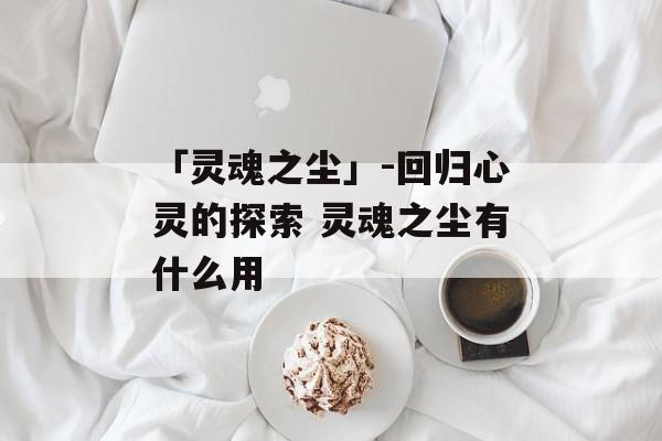「灵魂之尘」-回归心灵的探索 灵魂之尘有什么用