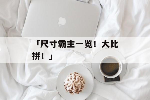 「尺寸霸主一览！大比拼！」