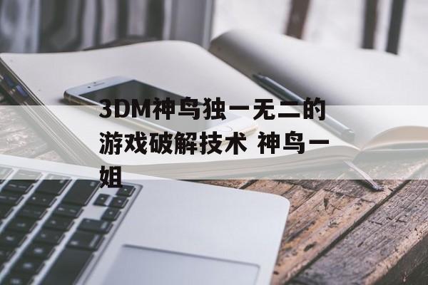 3DM神鸟独一无二的游戏破解技术 神鸟一姐