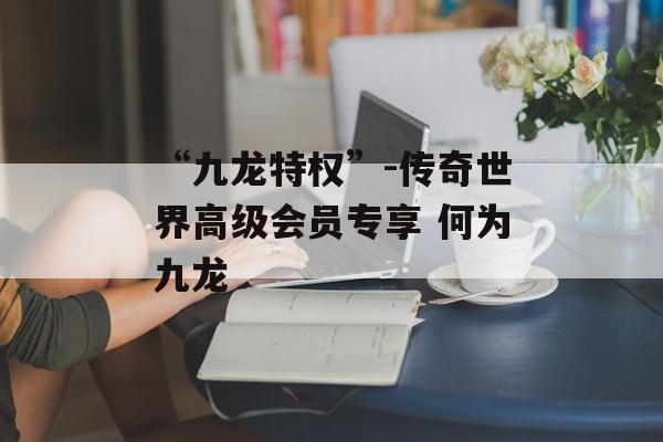 “九龙特权”-传奇世界高级会员专享 何为九龙