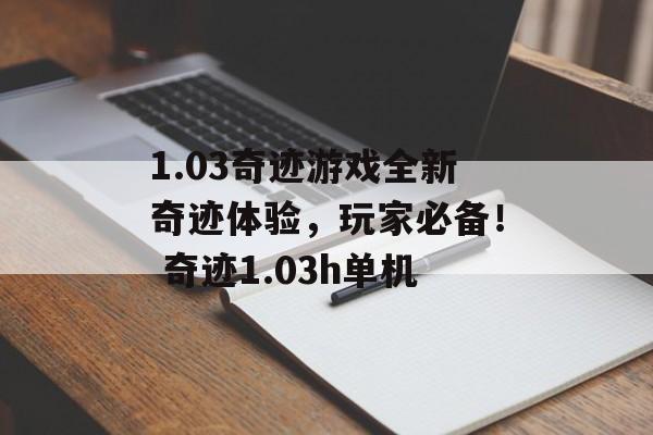 1.03奇迹游戏全新奇迹体验，玩家必备！ 奇迹1.03h单机