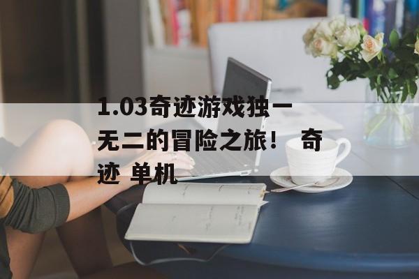 1.03奇迹游戏独一无二的冒险之旅! 奇迹 单机
