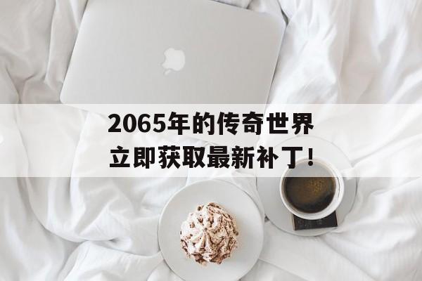 2065年的传奇世界立即获取最新补丁！