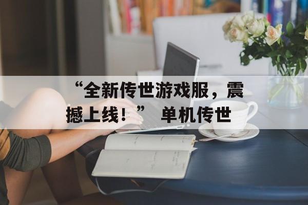 “全新传世游戏服,震撼上线!” 单机传世